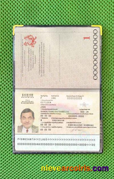 Denmark passport photolook